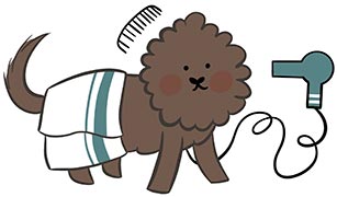 Legendary Labradoodles dog getting hair dried with hair blow dryer and blanket over back of dog and a comb over the head cartoon