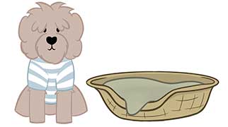 Legendary Labradoodle wearing a blue striped shirt sitting next to dog bed cartoon