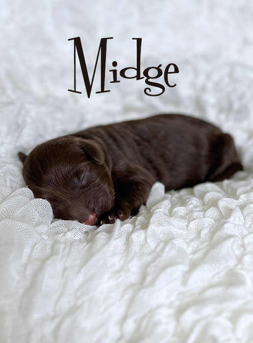 midge from marlee and boots week 1