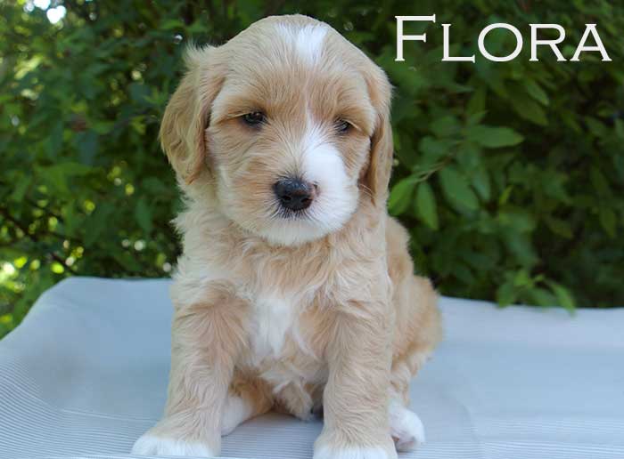  Flora-week 5