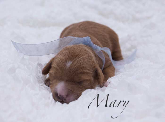 mary from penny and remi week 1