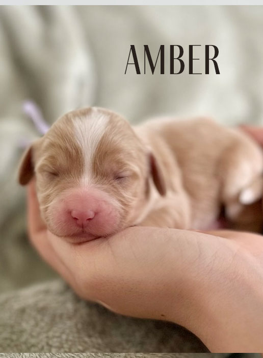 amber from aspen and river week 1