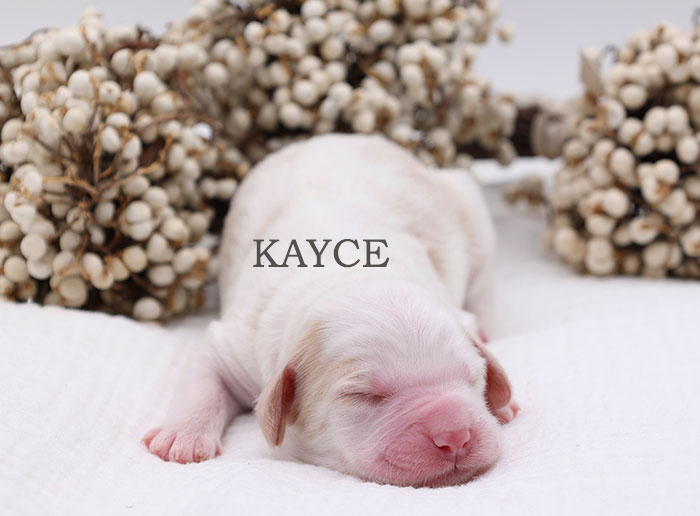 Kayce from Parker and River week 1