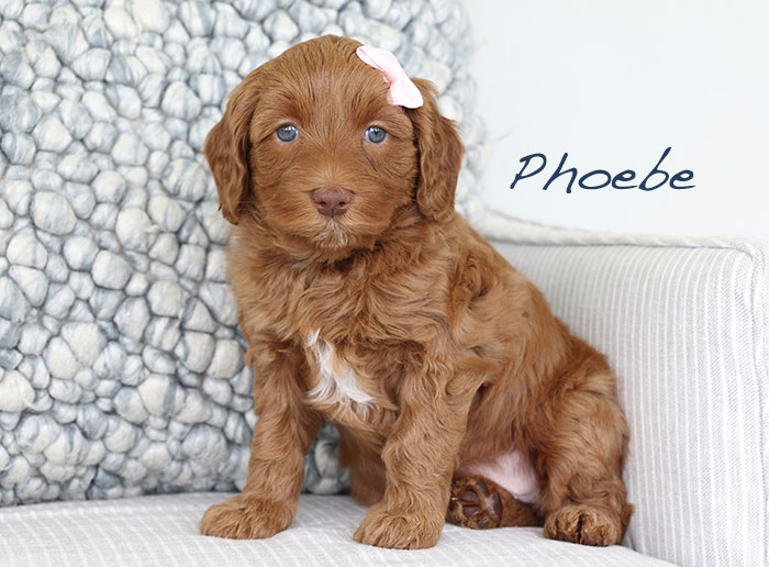 phoebe from piper and boots week 5