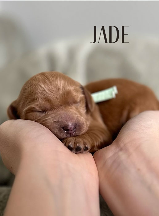 jade from aspen and river week 1