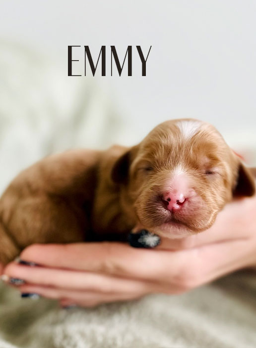 emmy from aspen and river week 1