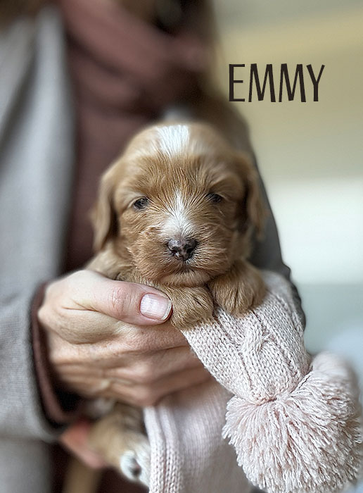 emmy from aspen and river week 3