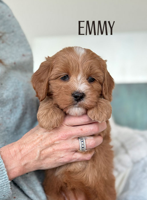 emmy from aspen and river week 5