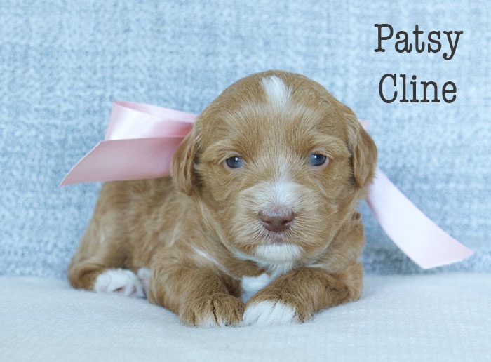 Patsy Cline-week 3