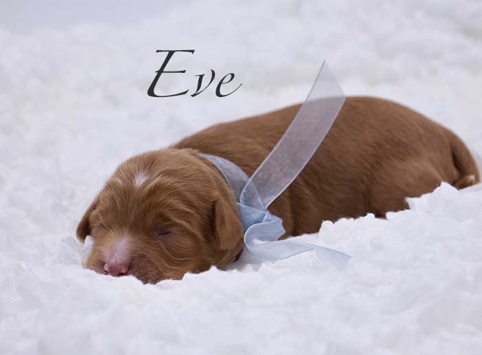 eve from penny and remi week 1