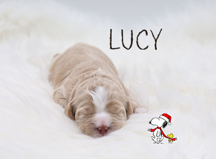 lucy from marlee and river week 1