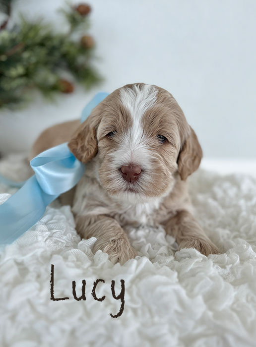 lucy from marlee and river week 3