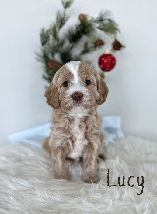 lucy from marlee and river week 5