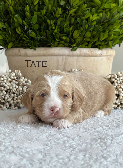 Tate from Parker and River week 3
