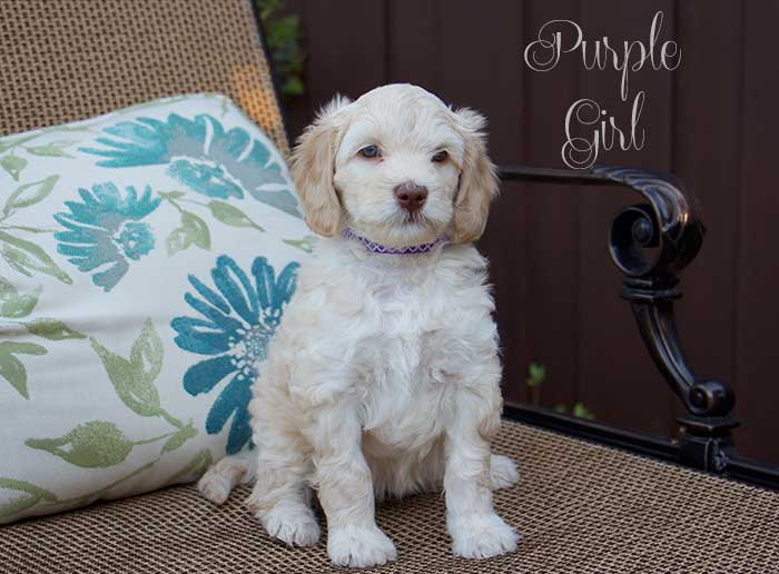 Purple Girl from June and Ben week 7