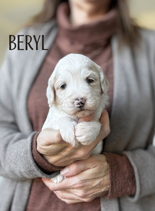 beryl from aspen and river week 3