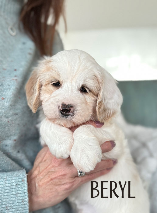 beryl from aspen and river week 5